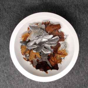 Falling Scammore - Hidden Botanicals